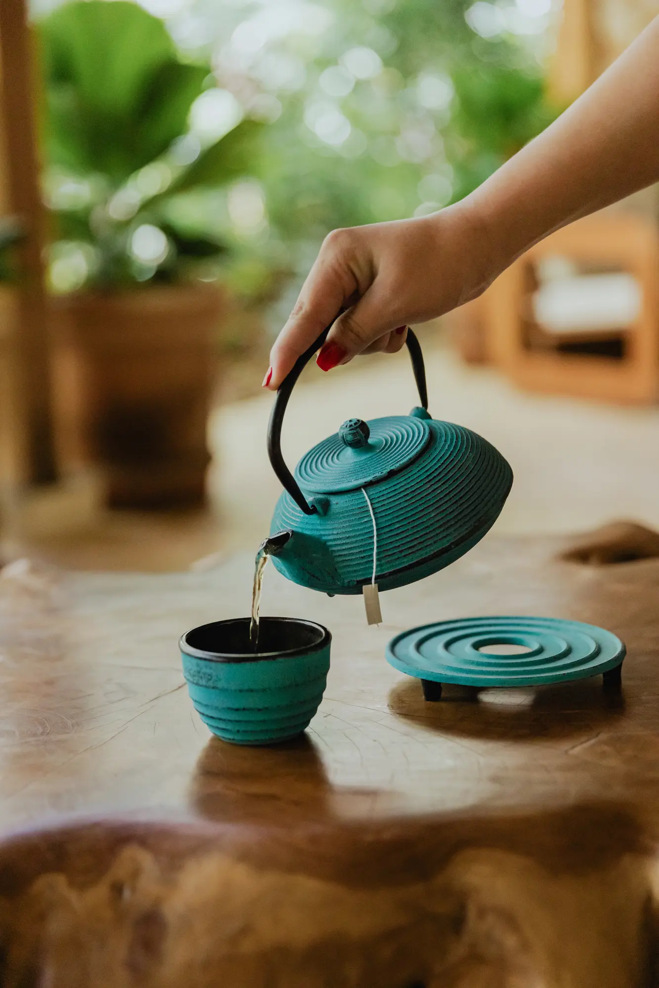 Harmony Healing Center — Wellness retreat