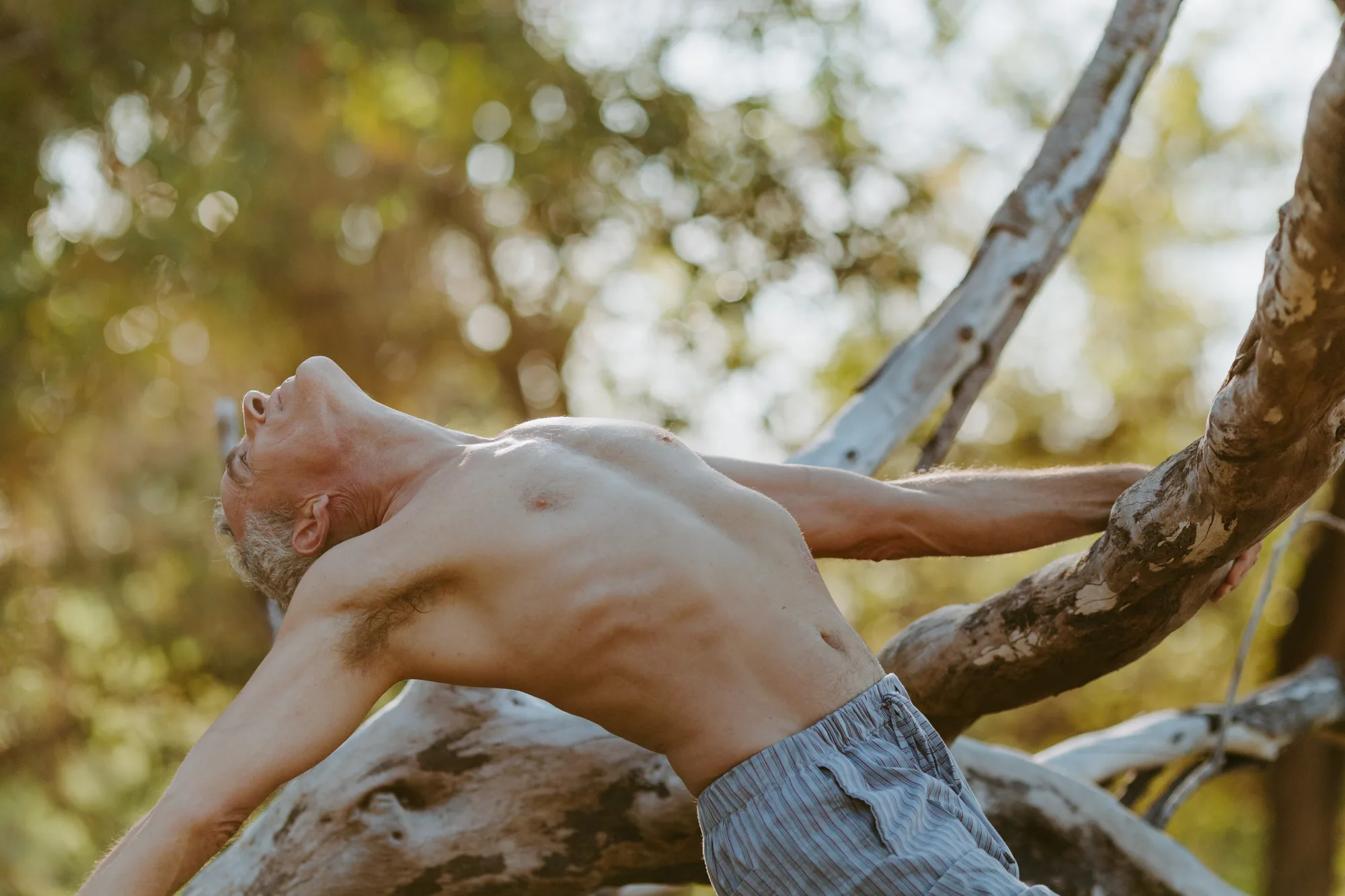 Recovery 2.0 · Tommy Rosen — Personal brand