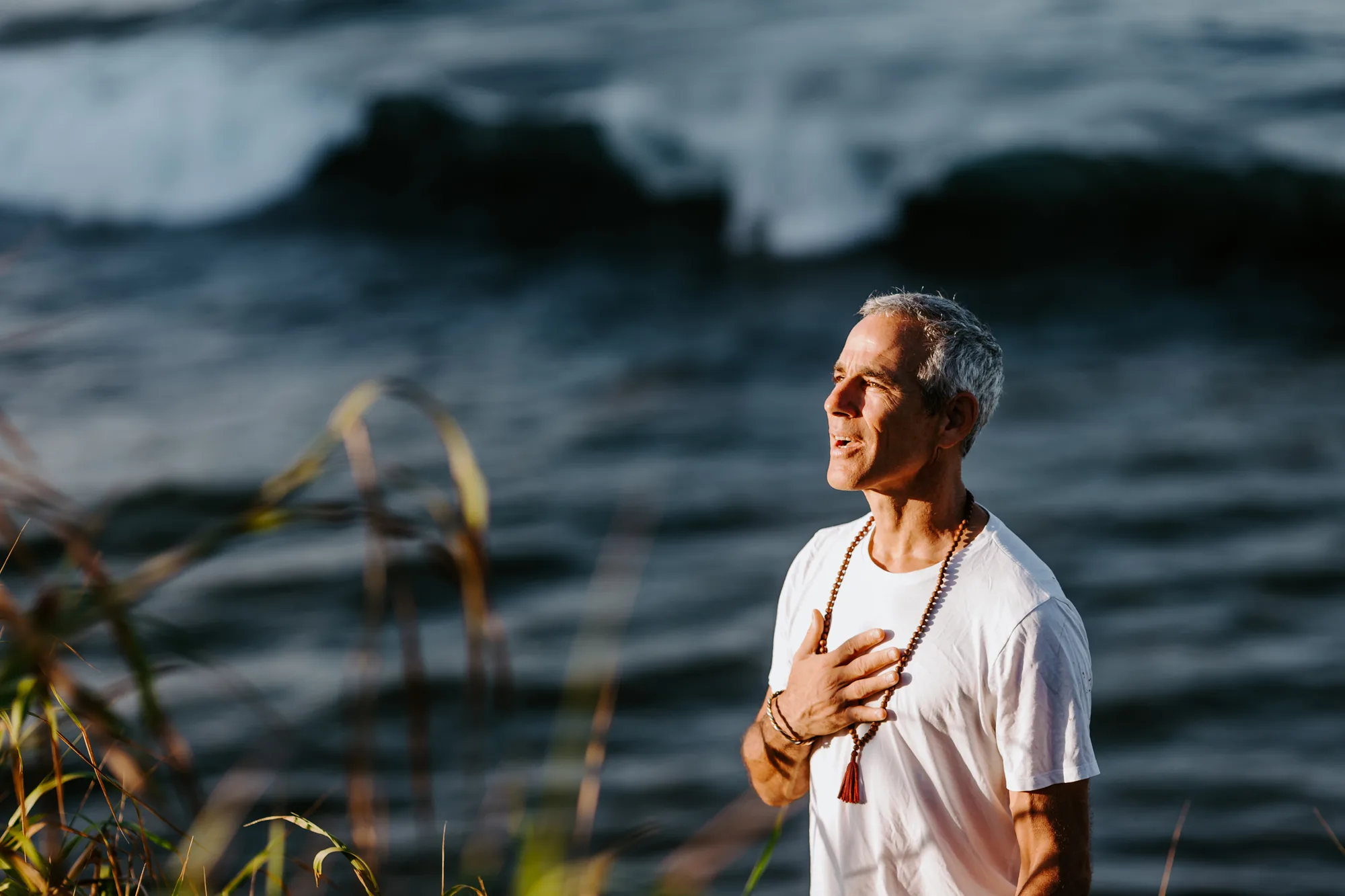 Recovery 2.0 · Tommy Rosen — Personal brand