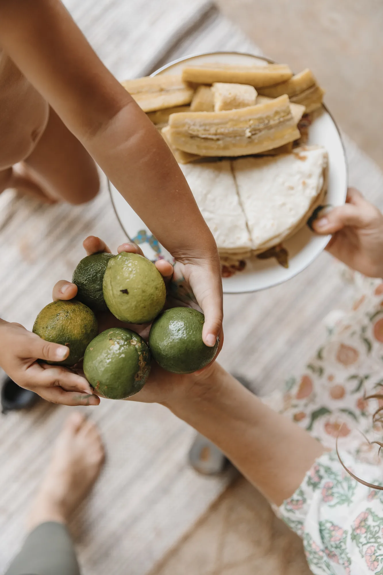 Hacienda Zaragoza — Family, at the farm