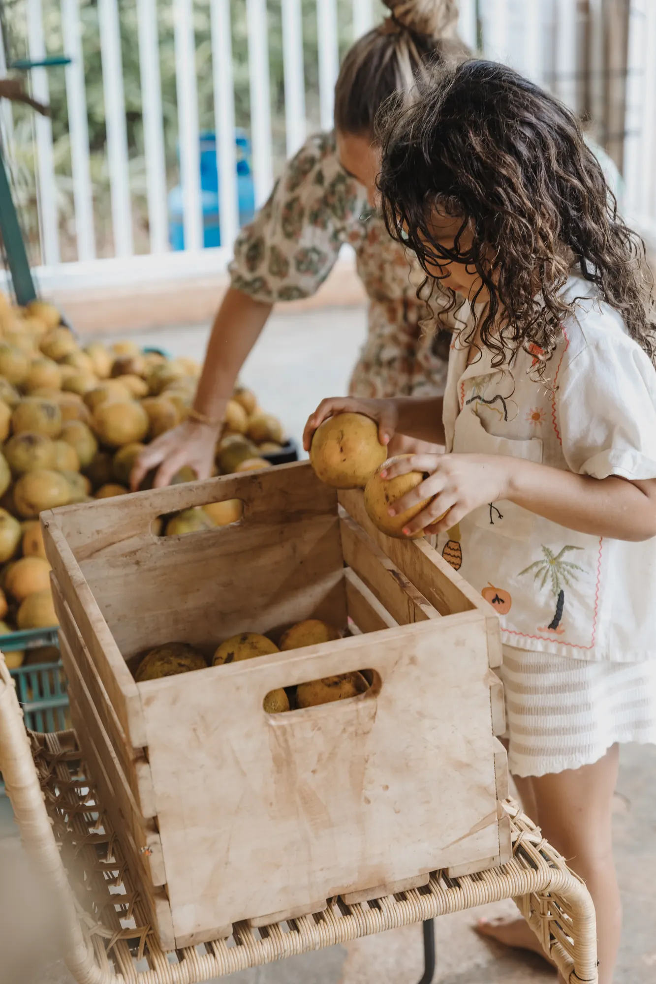 Hacienda Zaragoza — Family, at the farm