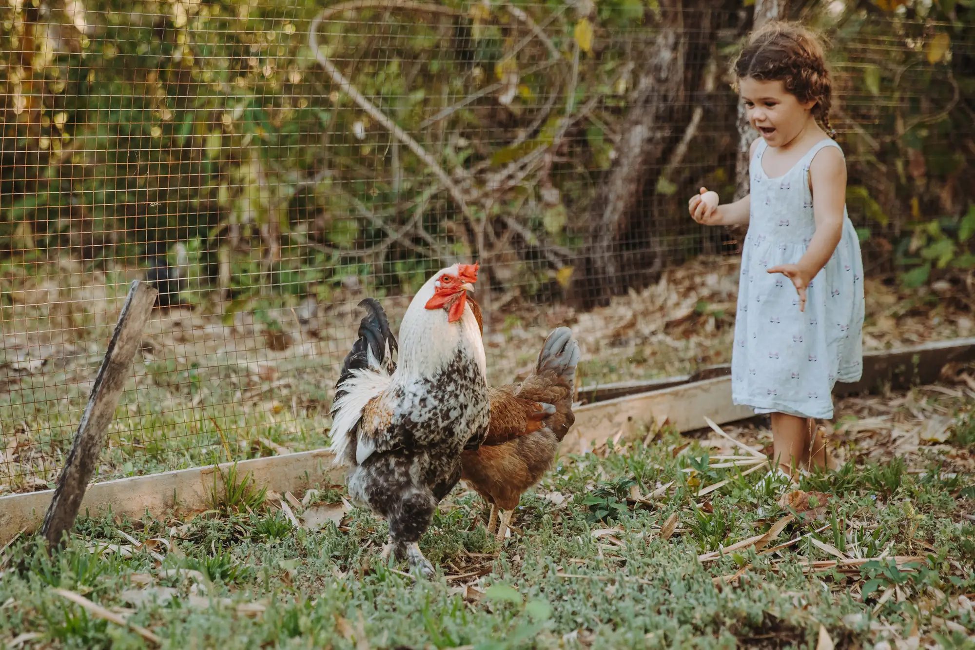 Lucy — Family, at home